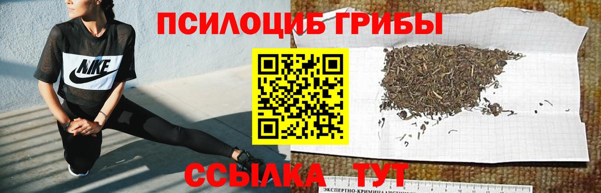 Галлюциногенные грибы Magic Shrooms Смоленск